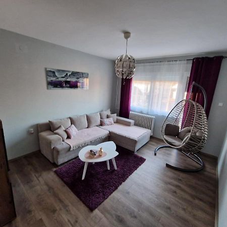 Grey & Sunny Apartments Zajecar Luaran gambar
