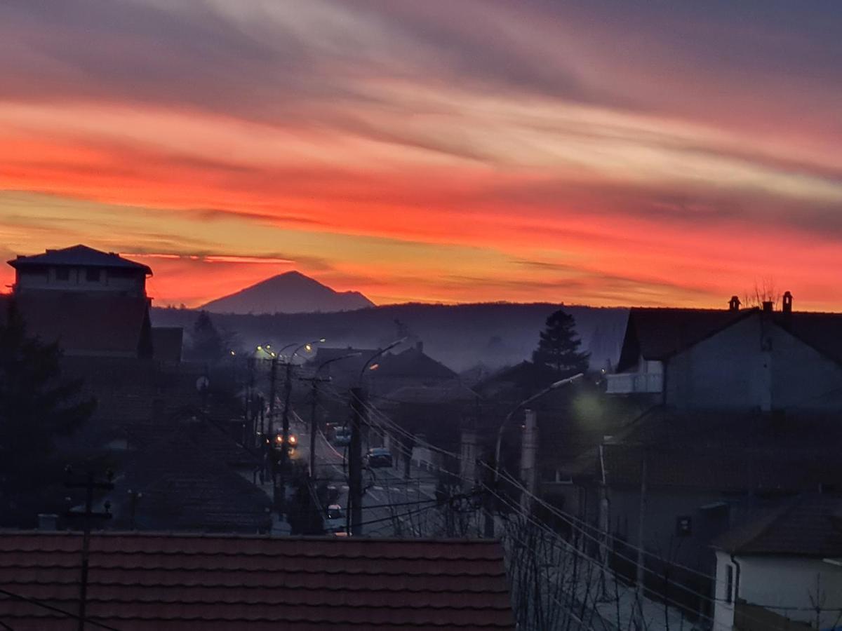 Grey & Sunny Apartments Zajecar Luaran gambar