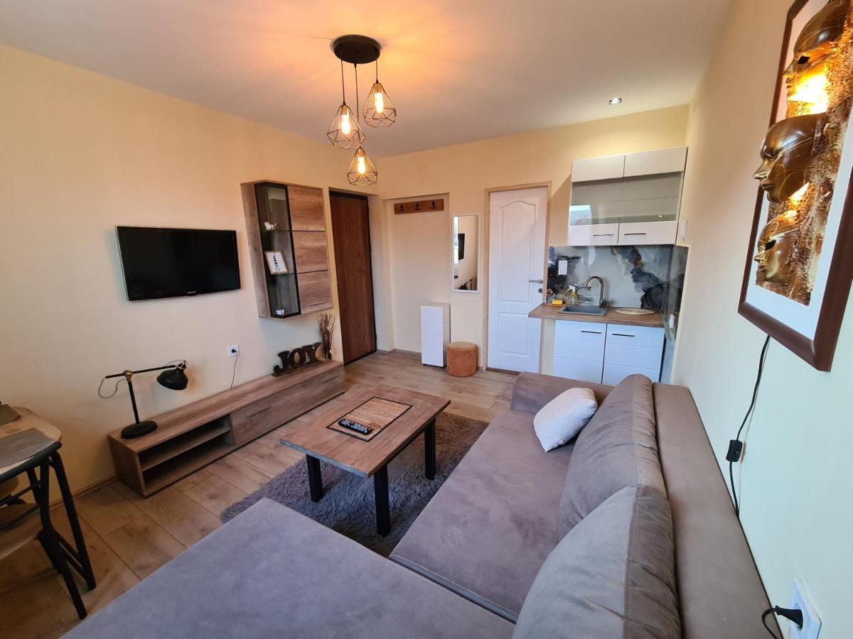 Grey & Sunny Apartments Zajecar Luaran gambar