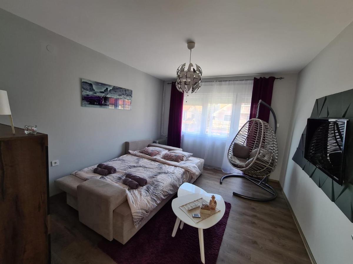 Grey & Sunny Apartments Zajecar Luaran gambar