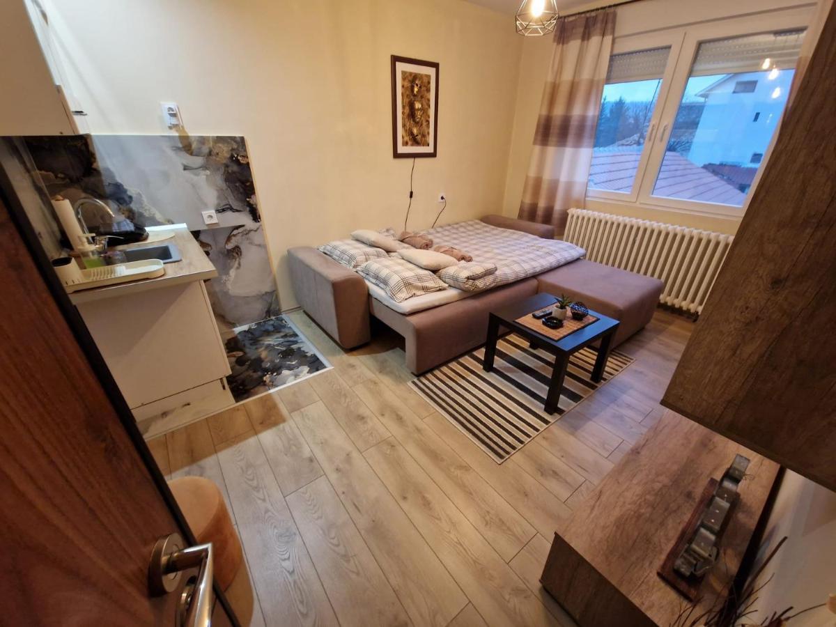 Grey & Sunny Apartments Zajecar Luaran gambar
